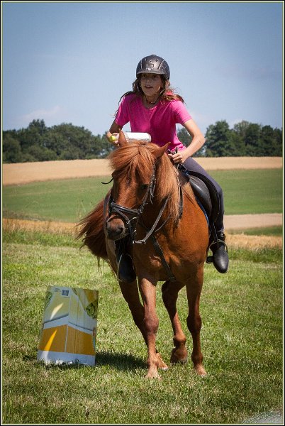 Mounted Games 138